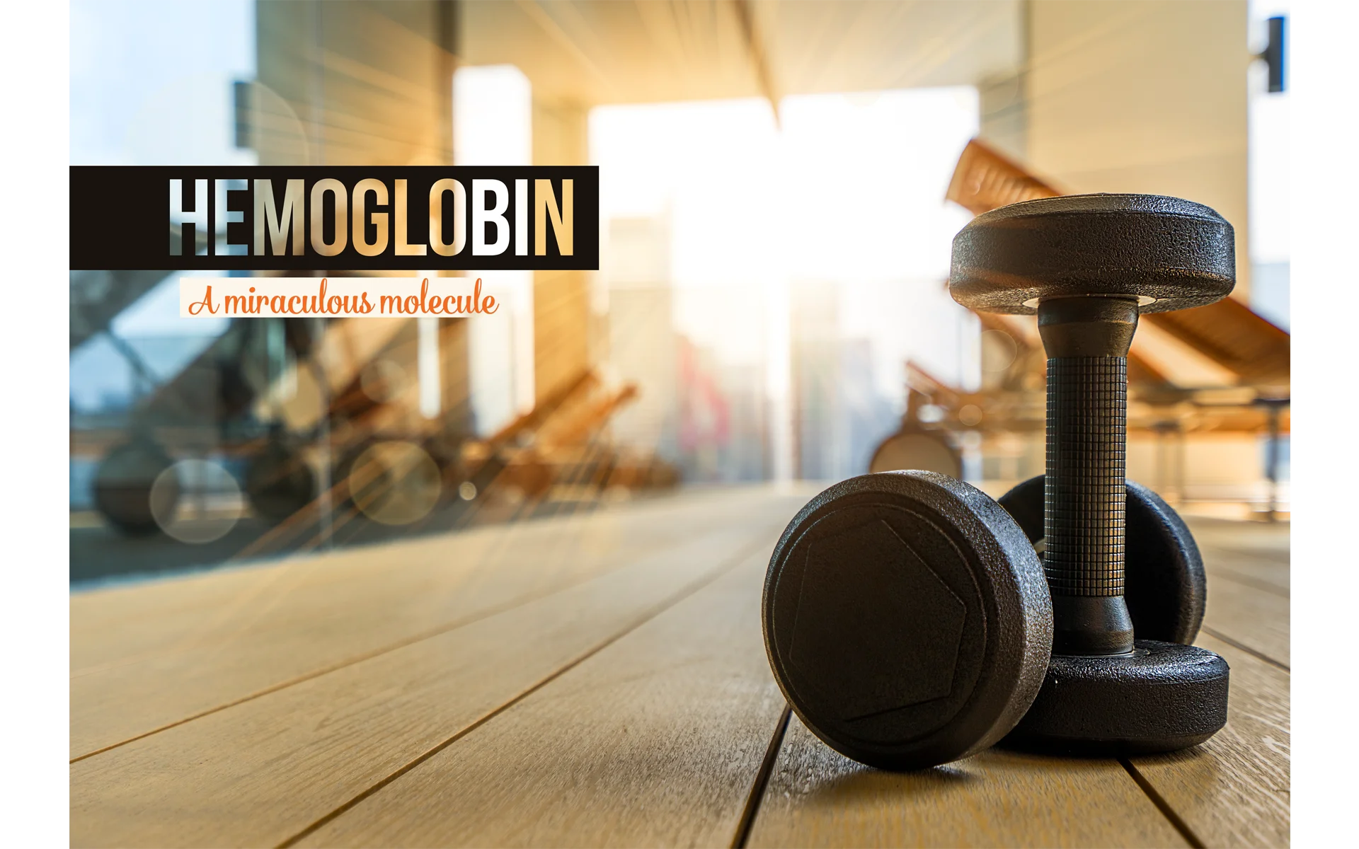 A Miraculous Molecule: Hemoglobin